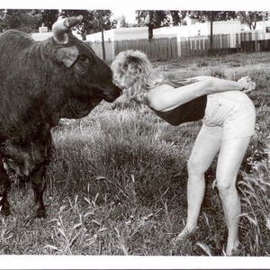 Meet your Posher, Donna